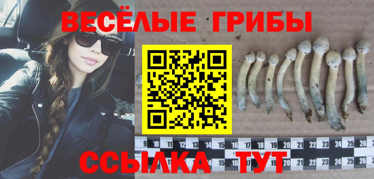 Галлюциногенные грибы MAGIC MUSHROOMS Каменка