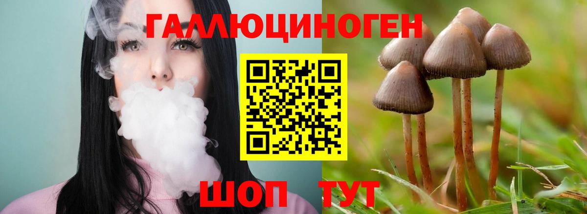 Каменка  Галлюциногенные грибы мицелий  Вход с VPN 